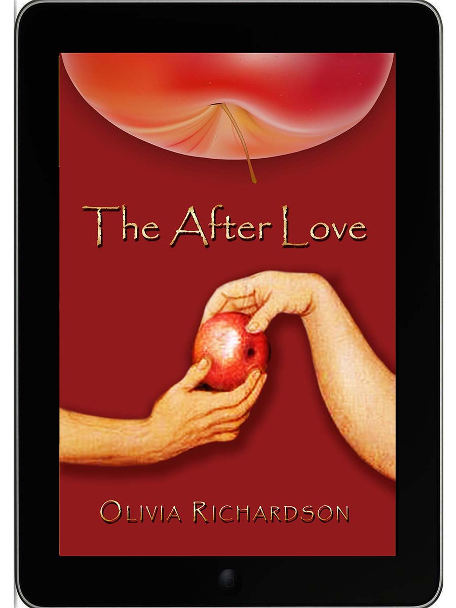 Book Cover Design by ev 21 for N/a | Design #2290331