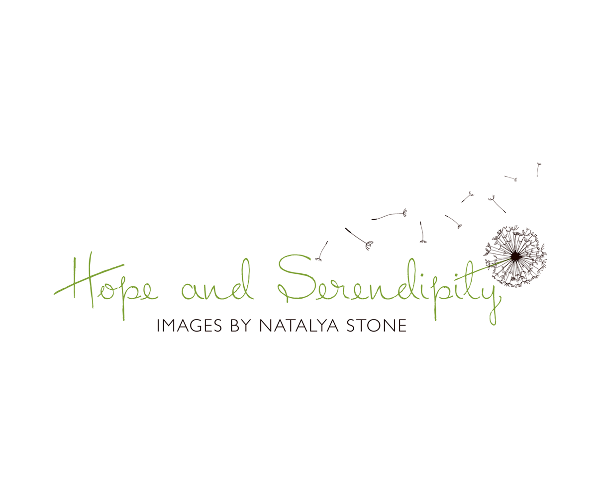 Logo Design by Soniatp for this project | Design #10941730