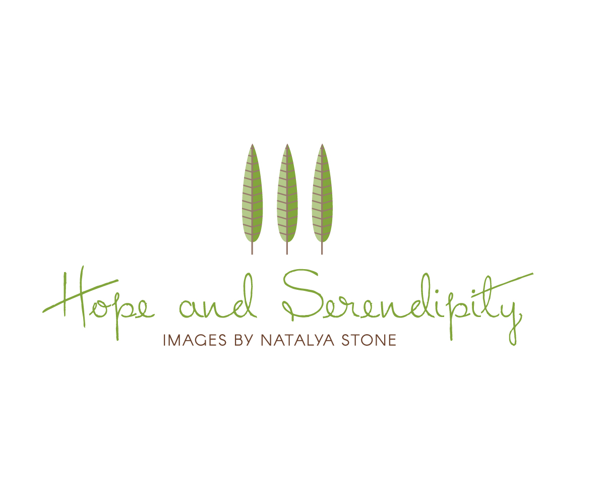 Logo Design by Soniatp for this project | Design #10963291