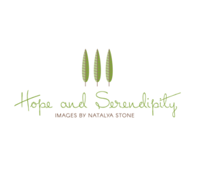 Logo Design by Soniatp for this project | Design #10963291