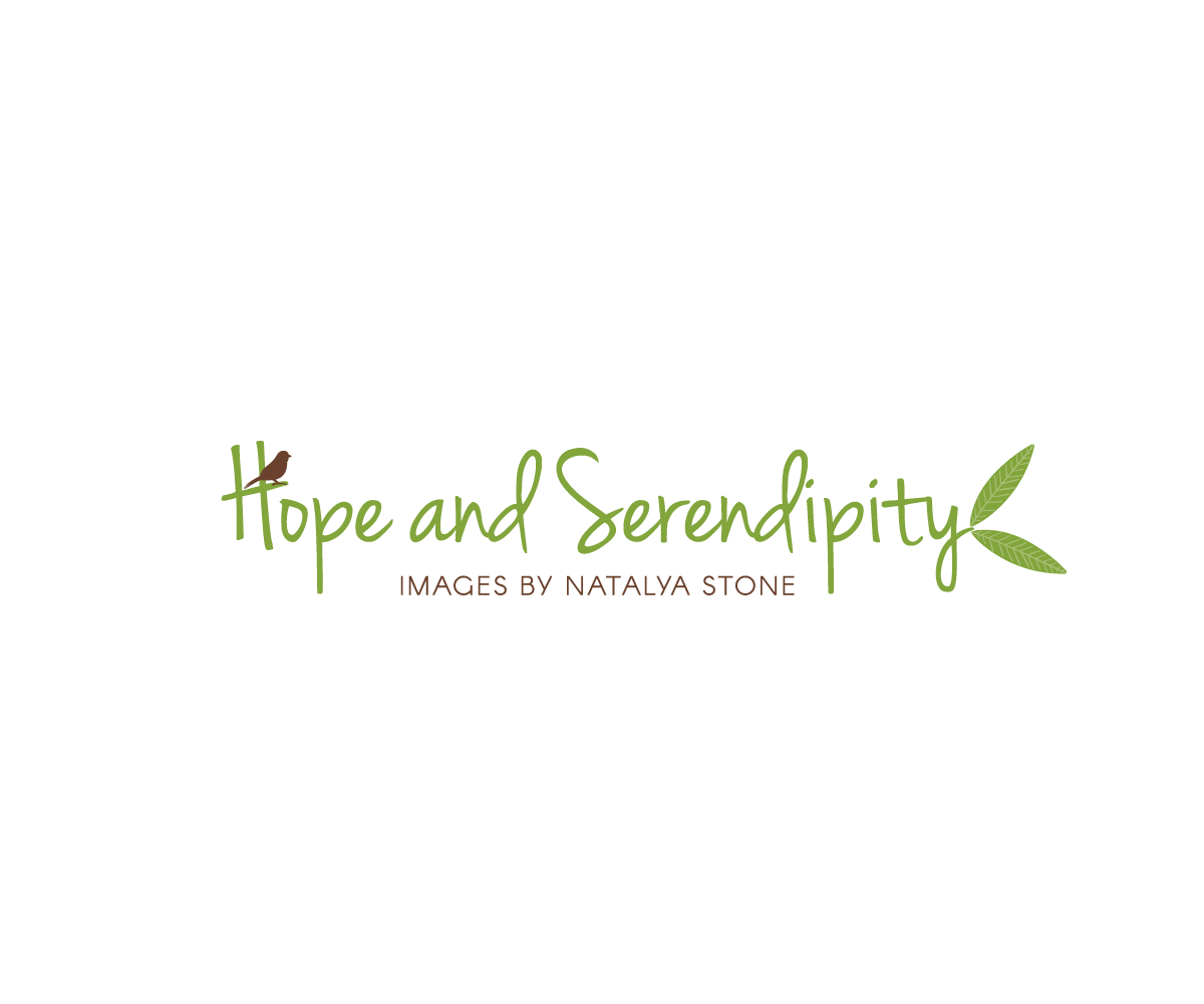 Logo Design by Soniatp for this project | Design #11048128