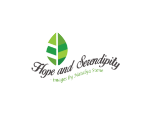 Logo Design by anonrotide