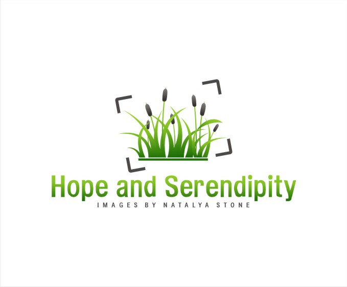 Diseño de Logo por creative.bugs para este proyecto | Diseño #10946976