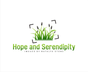 Logo Design by creative.bugs for this project | Design: #10946976