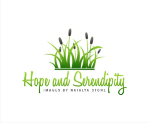 Logo Design by creative.bugs for this project | Design: #10955935
