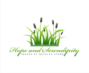 Logo Design by creative.bugs for this project | Design: #10955936