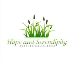 Logo Design by creative.bugs for this project | Design: #10955937
