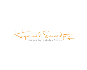 Logo Design by logomaster24 for this project | Design: #10948824