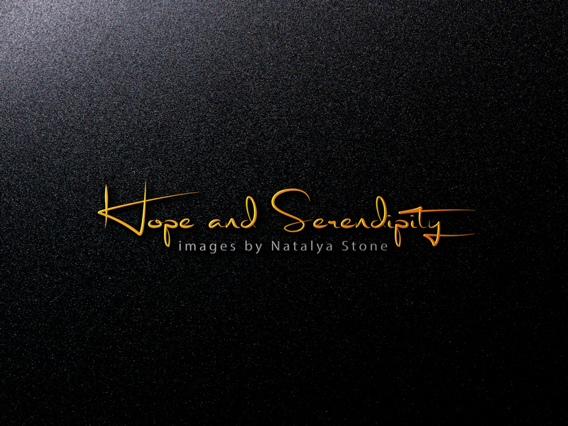 Logo Design by logomaster24 for this project | Design #10948825
