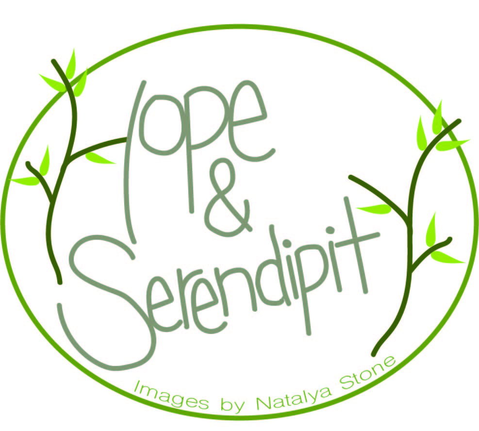 Logo Design by lexerdoodle12 for this project | Design #11012290