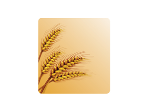 Logo-Design von BaSumi für dieses Projekt | Design: #472782