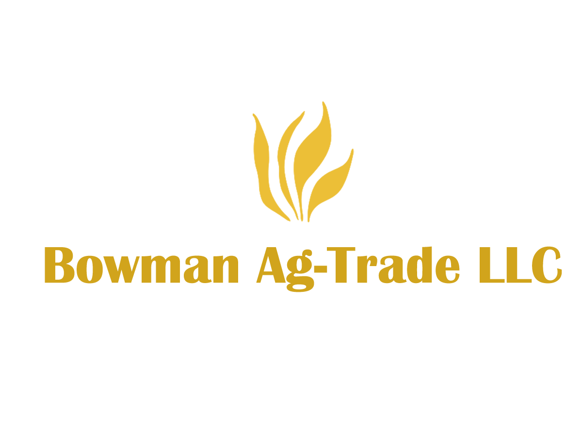 Logo Design by cyborg for this project | Design #471512