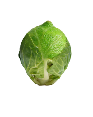 Photoshop Design by morgan.kirk