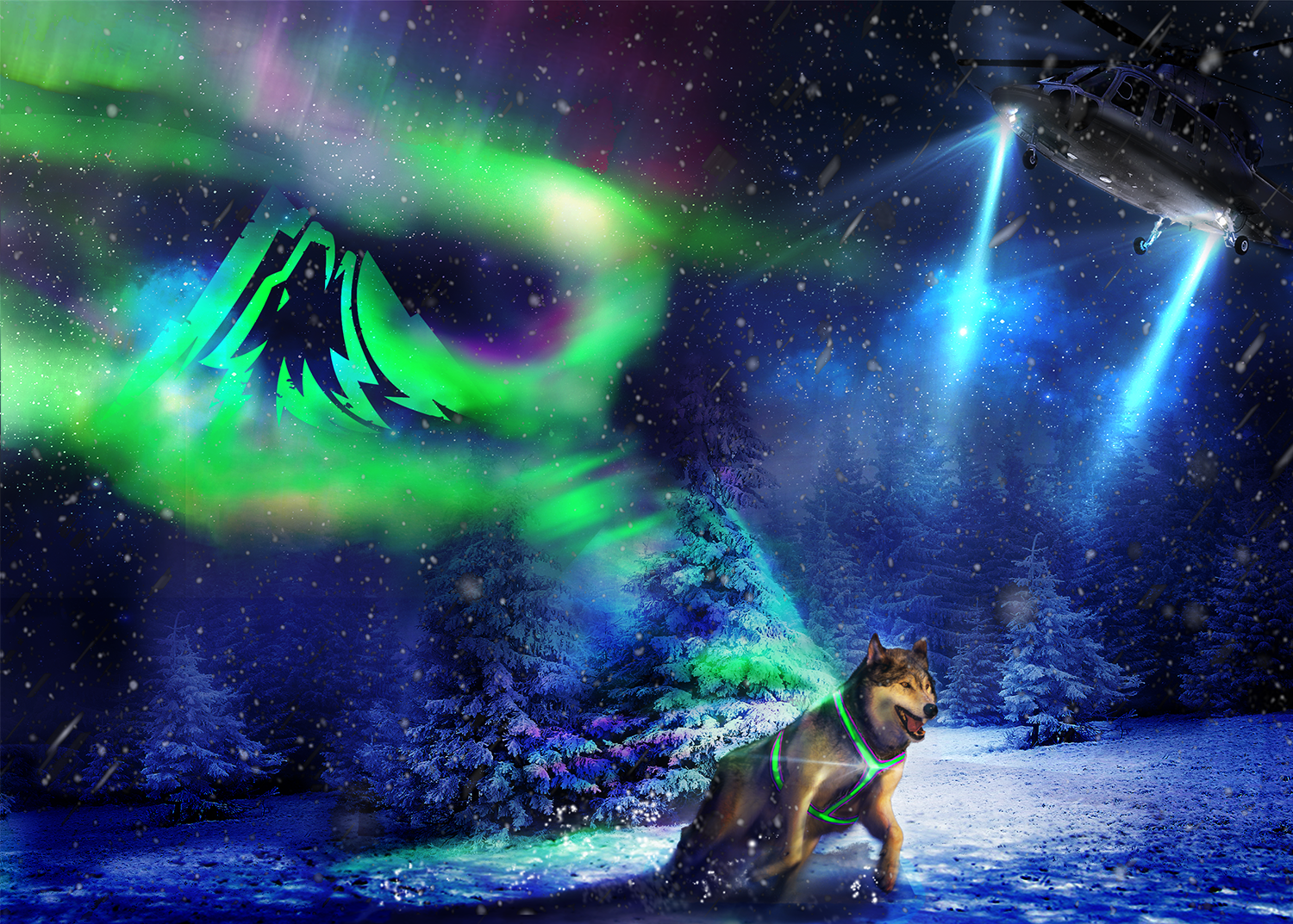 Illustration Design by Inés for JK K9 | Design #10977521