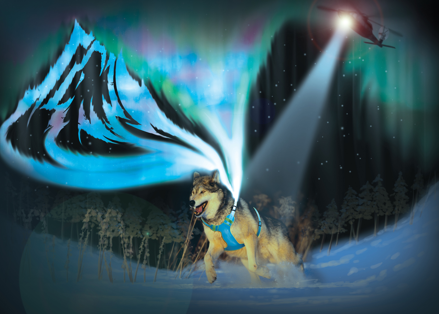 Illustration Design by canvas studios for JK K9 | Design #11055094