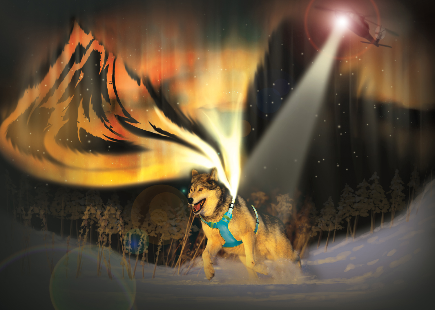 Illustration Design by canvas studios for JK K9 | Design #11055267