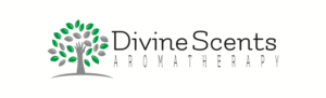 Logo Design by Freed Project