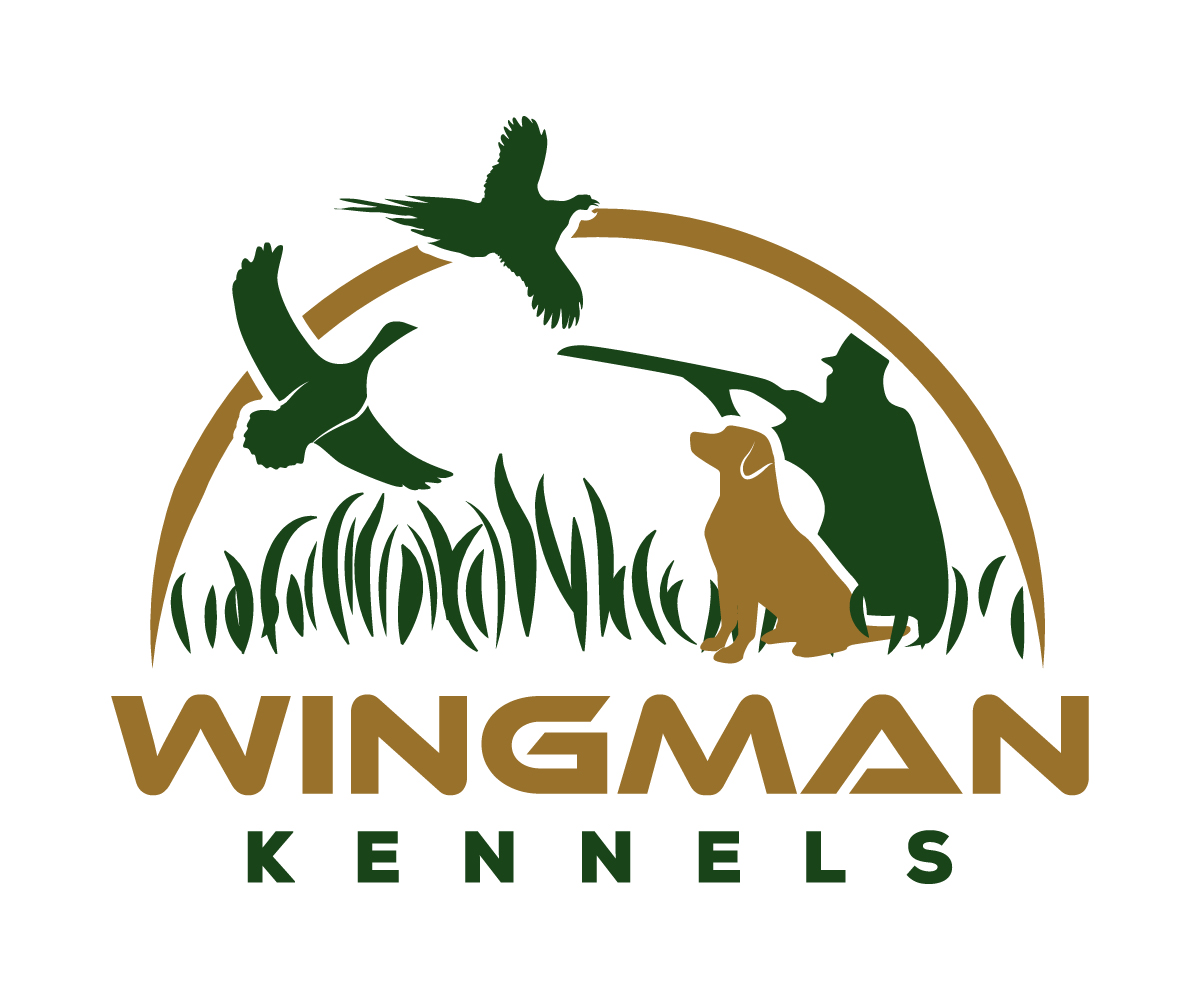 Diseño de Logo por sangeloenriquez para este proyecto | Diseño #11130378