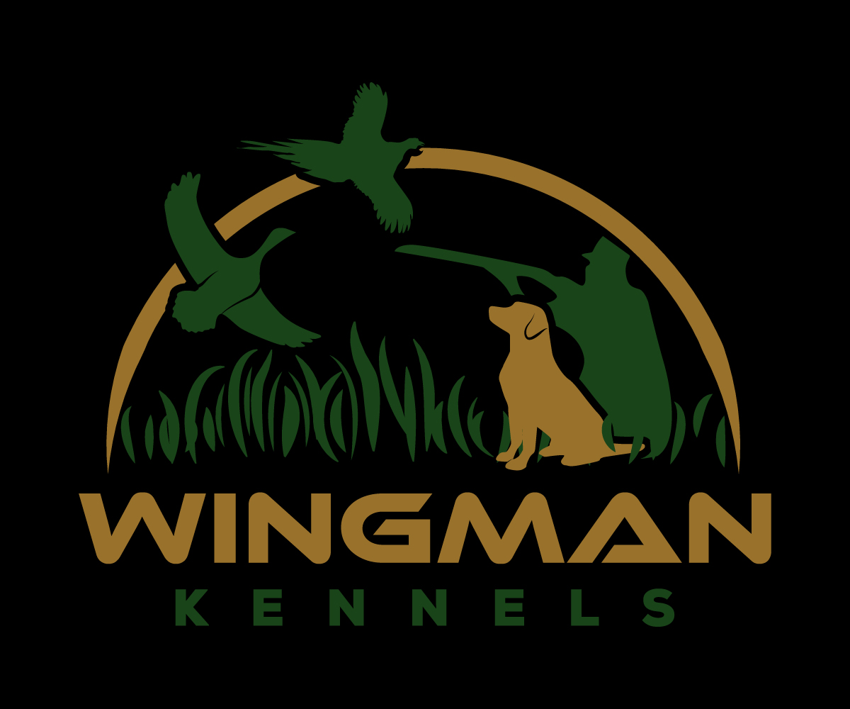 Diseño de Logo por sangeloenriquez para este proyecto | Diseño #11130385