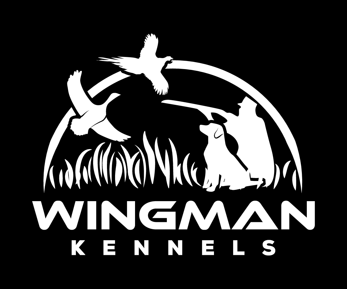 Diseño de Logo por sangeloenriquez para este proyecto | Diseño #11130386