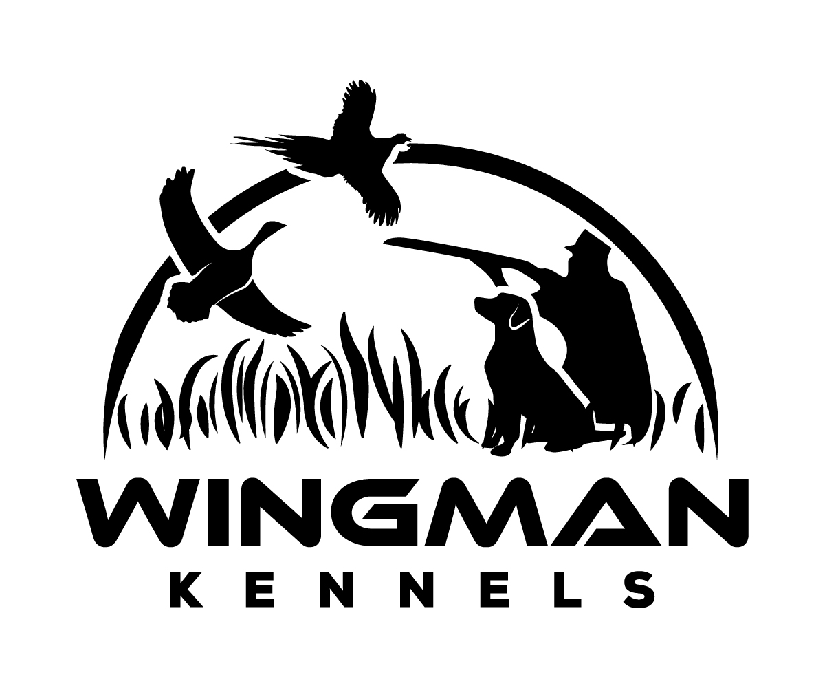 Diseño de Logo por sangeloenriquez para este proyecto | Diseño #11130396