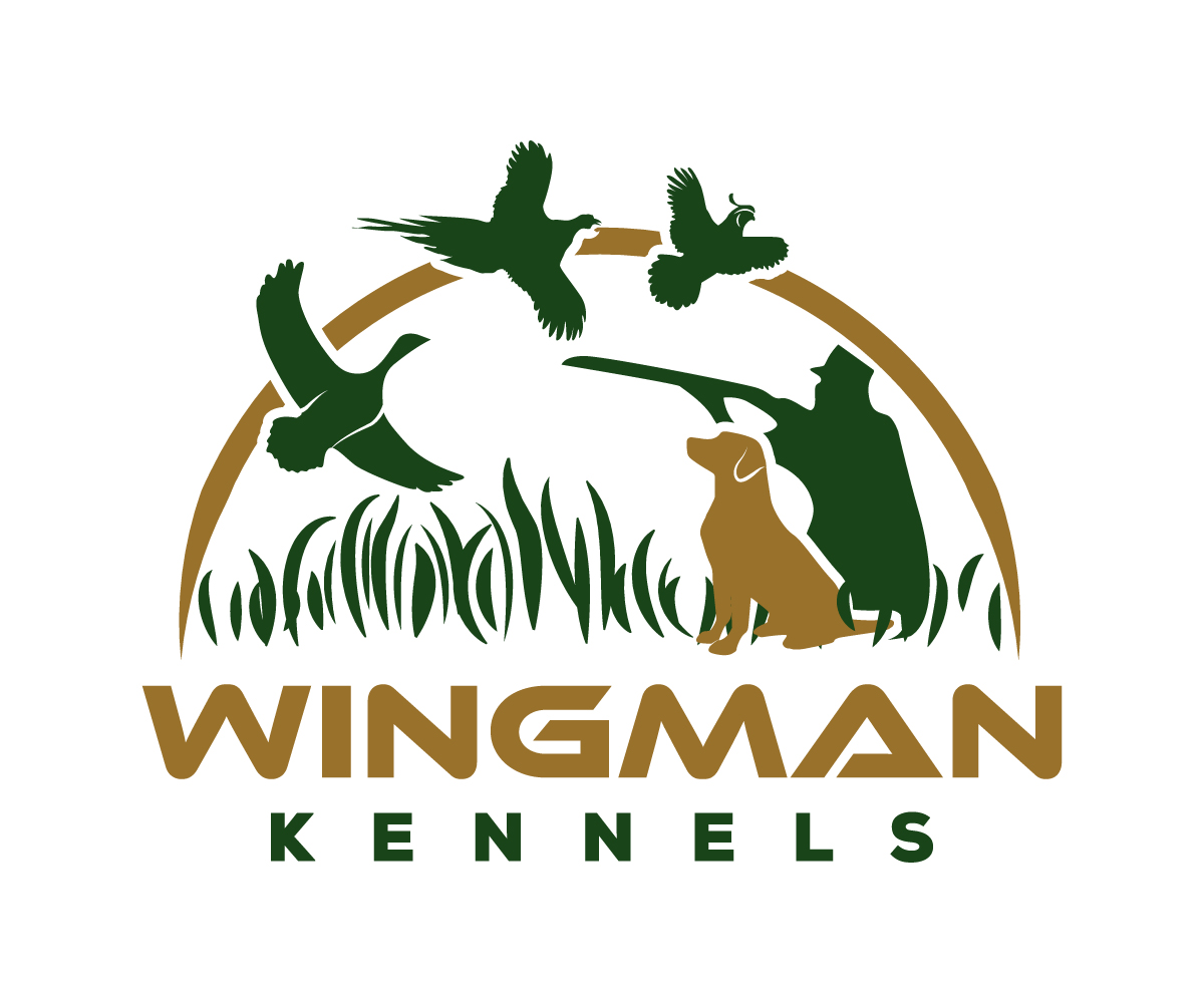 Diseño de Logo por sangeloenriquez para este proyecto | Diseño #11149454