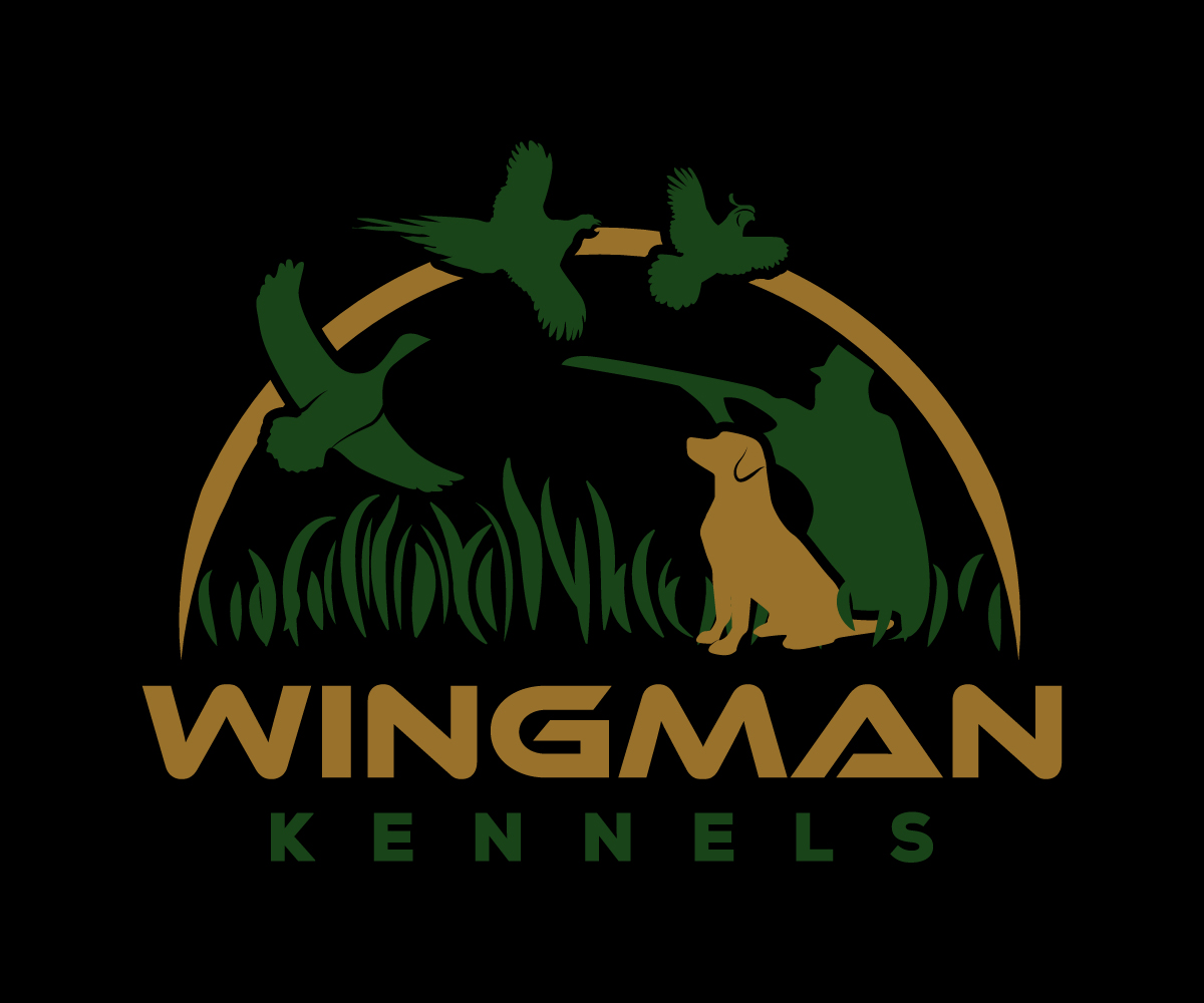 Diseño de Logo por sangeloenriquez para este proyecto | Diseño #11151020