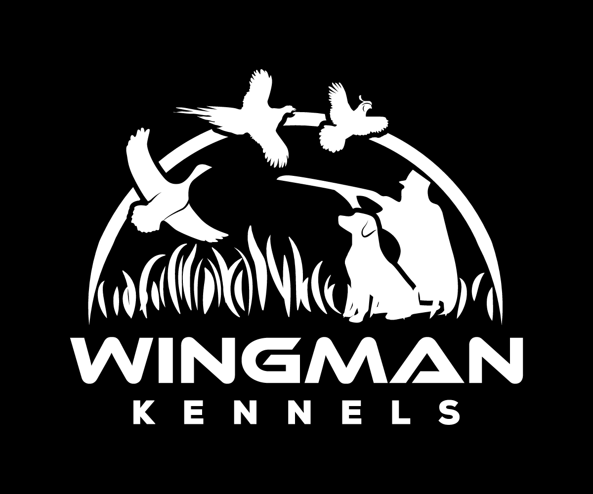 Diseño de Logo por sangeloenriquez para este proyecto | Diseño #11151026