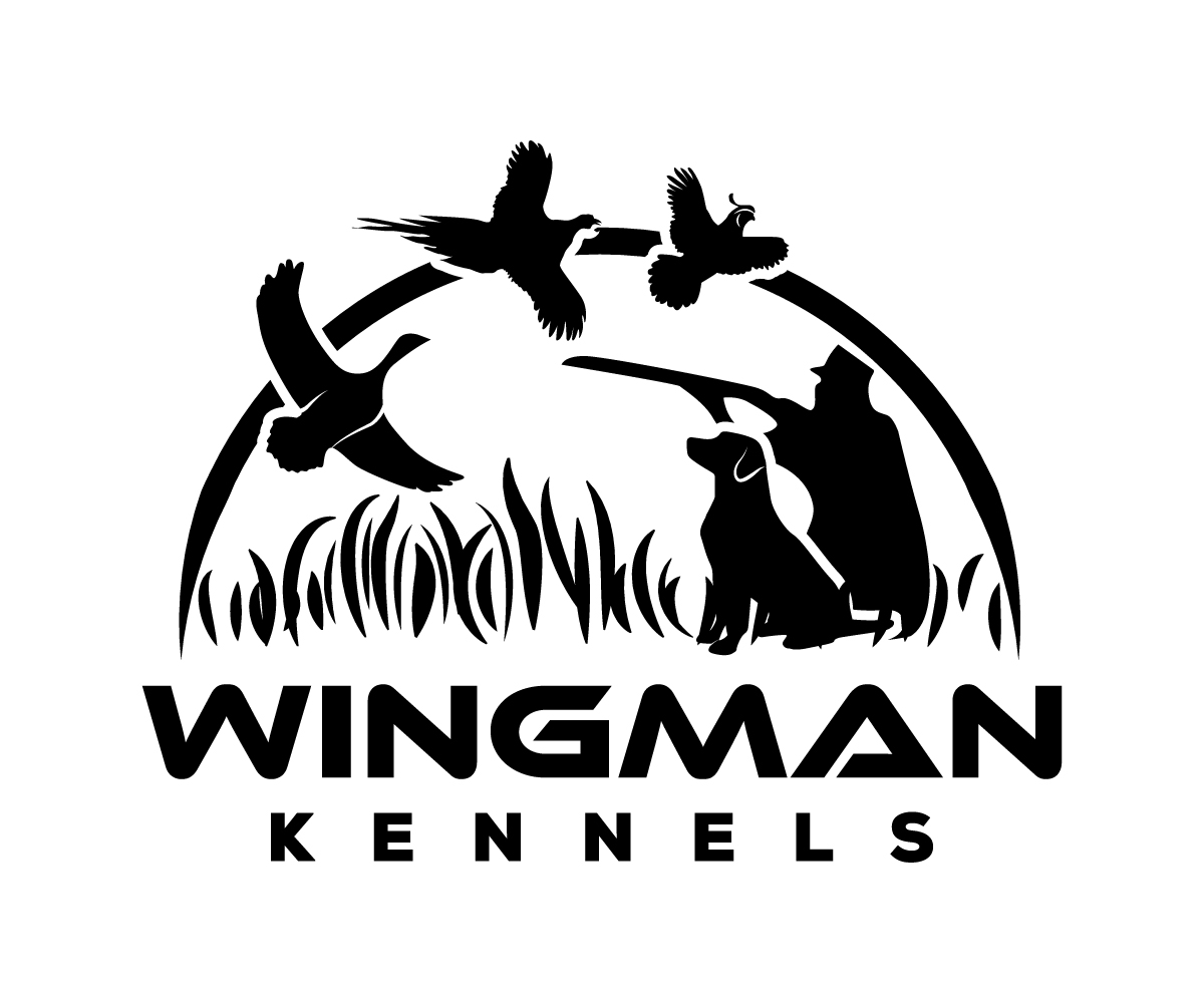 Diseño de Logo por sangeloenriquez para este proyecto | Diseño #11151034