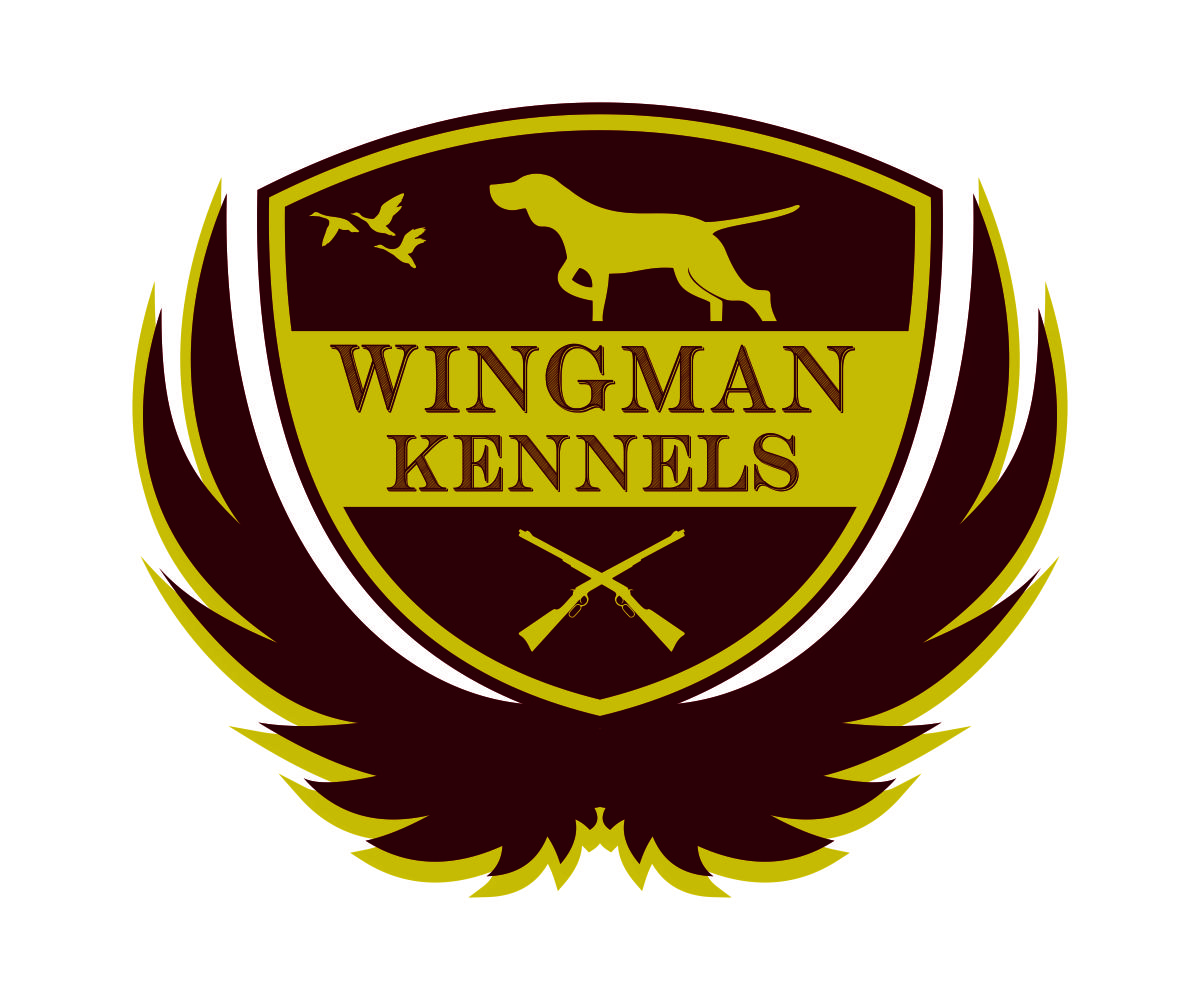 Diseño de Logo por GMTAdesign para este proyecto | Diseño #10999334