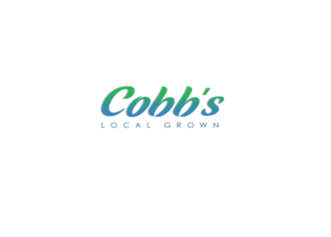 Logo Design by instudio for this project | Design: #11078742
