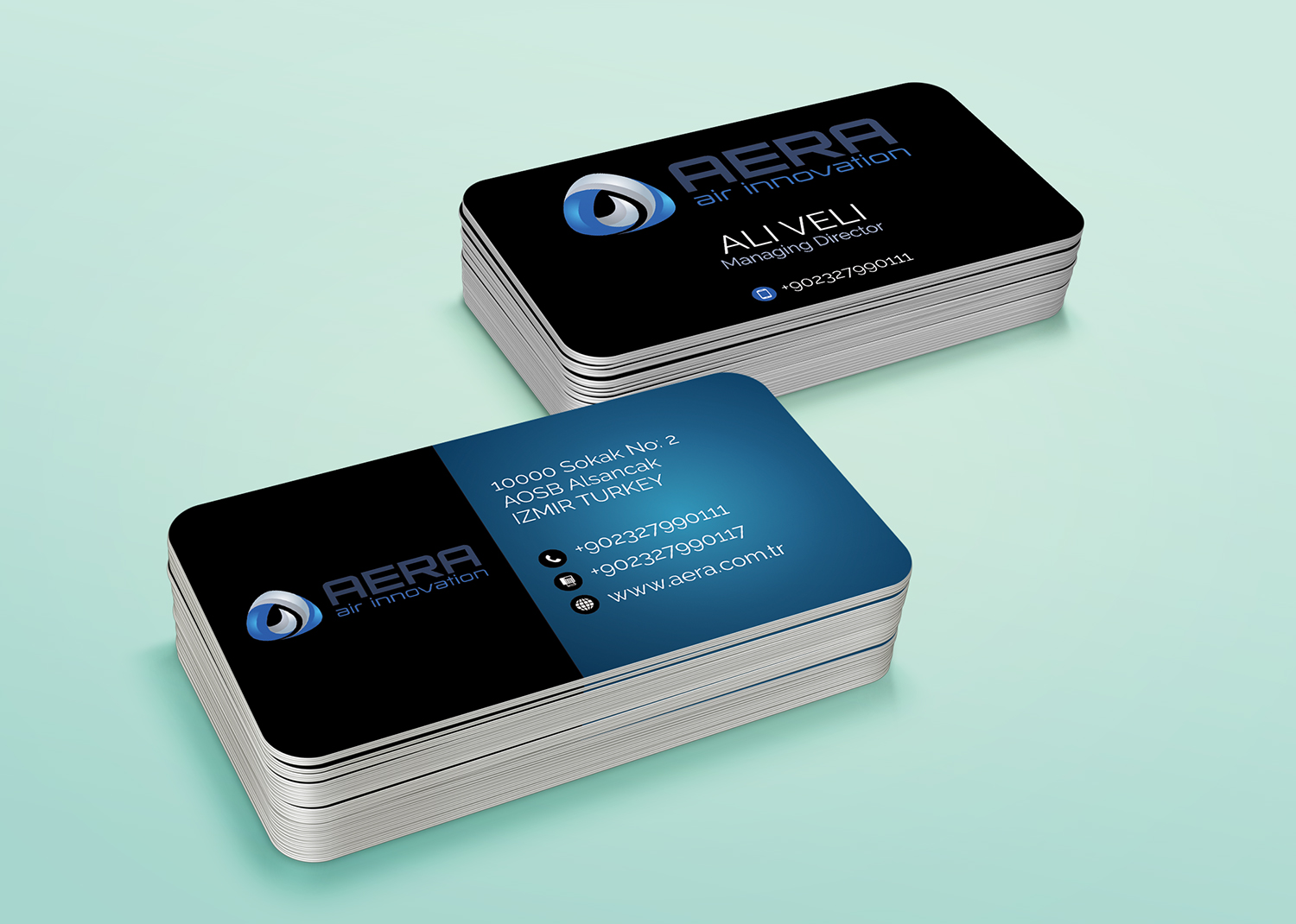 Business Card Design by alhemique1 for aera | Design #10977222