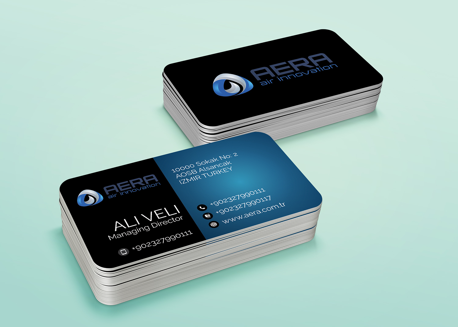 Business Card Design by alhemique1 for aera | Design #10977232