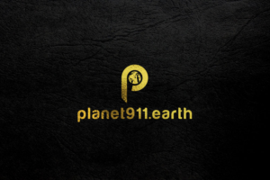 Diseño de Logo por site para Planet 911,LLC | Diseño: #10979952