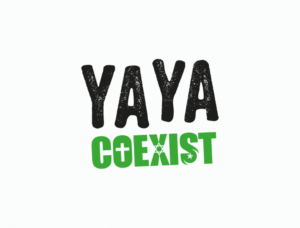 Diseño de Logo por Enzzok para .YAYA - Good to see YA Ltd | Diseño: #11047370
