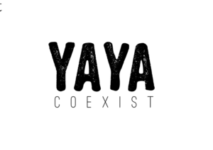 Logo Design by Impressive Solutions for .YAYA - Good to see YA Ltd | Design: #11029505