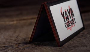 Logo Design by Impressive Solutions for .YAYA - Good to see YA Ltd | Design: #11035018