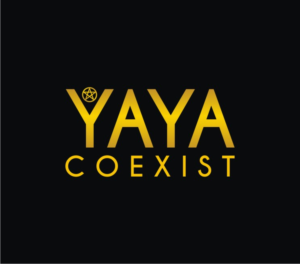 Logo Design by creative.bugs for .YAYA - Good to see YA Ltd | Design: #10982536