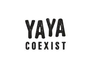 Diseño de Logo por dlt para .YAYA - Good to see YA Ltd | Diseño: #11005194
