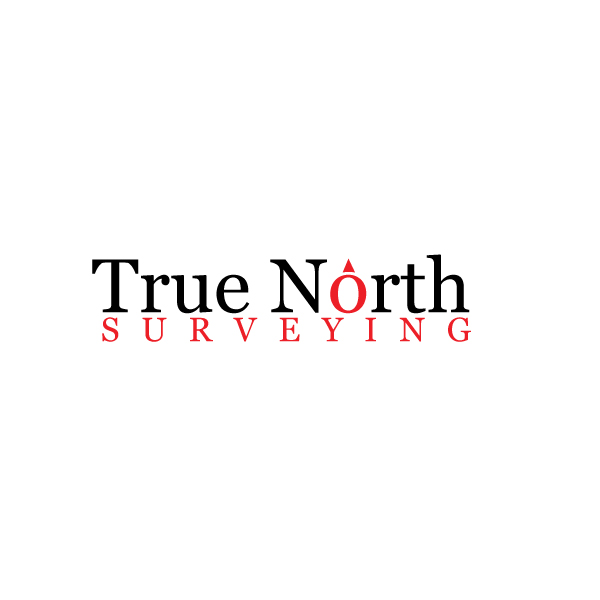 Logo Design by Himanshi10 for this project | Design #10993203