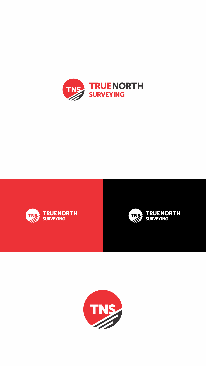 Logo-Design von Naavyd für dieses Projekt | Design #10992123