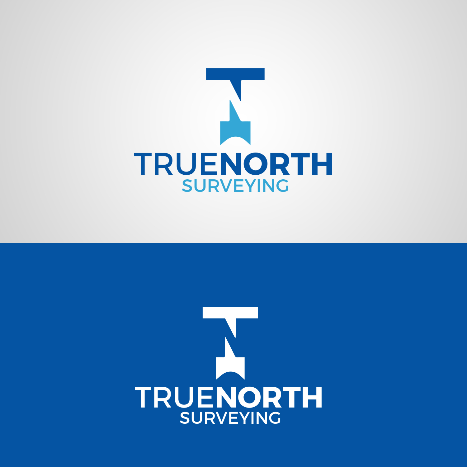 Logo-Design von vp.salim für dieses Projekt | Design #11045998