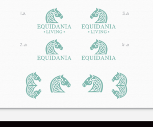 Design de Logo par AD-X pour Equidania | Design : #11054393