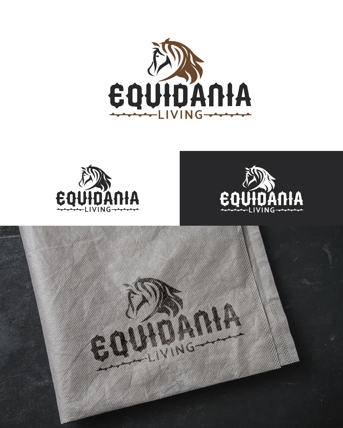Logo Design by Jacek Lachowicz for Equidania | Design #10982513