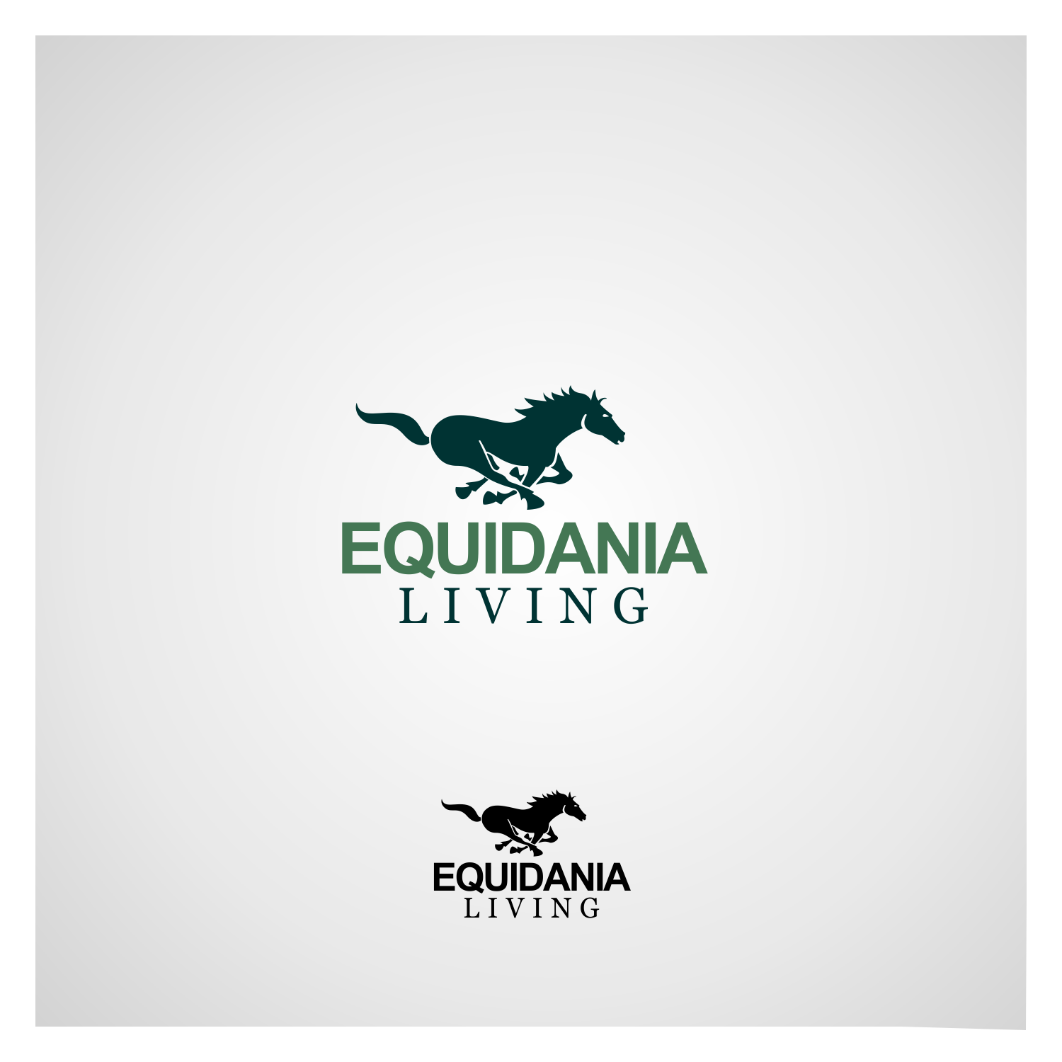 Logo Design by Angus Grafik Co. for Equidania | Design #10984622