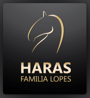 Logo Design by LogomaT