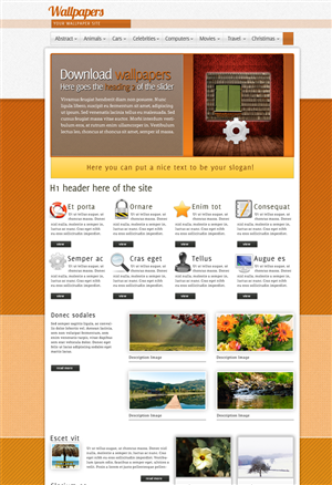 Web Design by designer