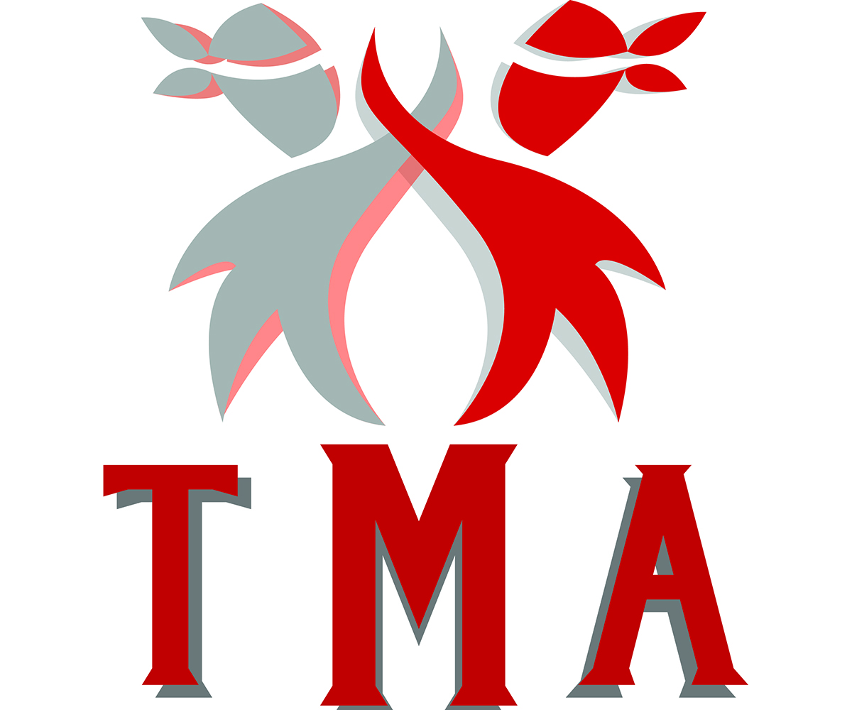 Logo Design by florin.fabian for Team Martial Arts | Design #11091711