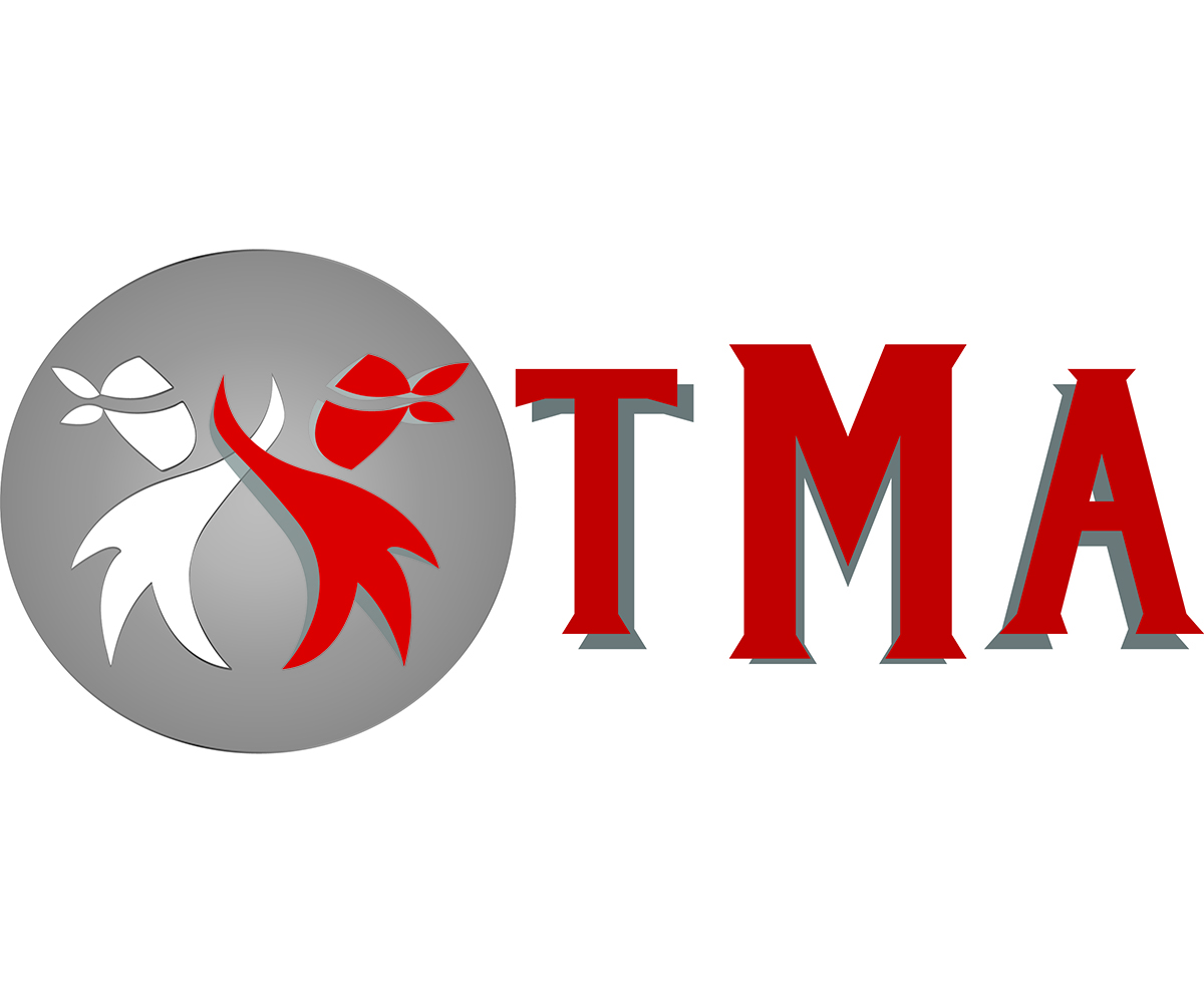 Logo Design by florin.fabian for Team Martial Arts | Design #11095254