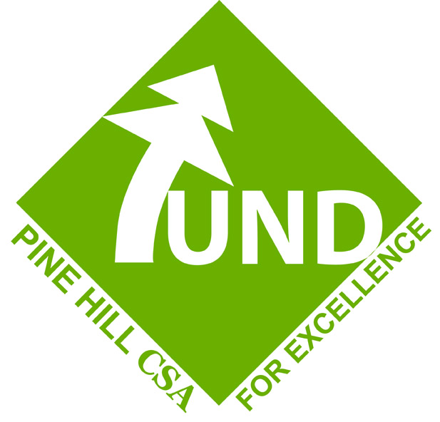 Logo Design by LEWIS for this project | Design #474506